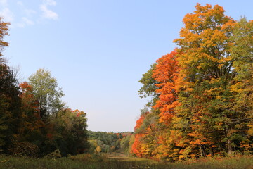 long sault conservation area