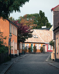 Fototapeta na wymiar Narrow cobblestoned street with roses and colorful townhouses during fall in Lund Sweden