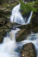 Mountain waterfall river stream view. Forest waterfall in mountains. Small stream in autumn season, colorful landscape. Beautiful rain forest.
River creek in deep wood.