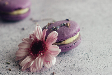 Macaroons. Delicious french desserts. Macaroons with flowers. Purple macaroons on the table