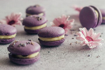 Fototapeta na wymiar Macaroons. Delicious french desserts. Macaroons with flowers. Purple macaroons on the table