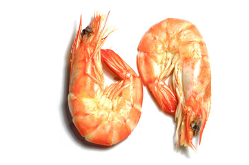 Shrimp on a white background