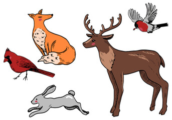Doodles set of winter animals. Deer, hare, fox, bullfinch, Northern Cardinal. Hand drawn vector illustrations collection. Colored elements isolated on white for design, decor, prints, stickers, cards.