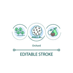 Orchard concept icon. Trees and shrubs planting idea thin line illustration. Fruit garden. Fruits and berries cultivation. Vector isolated outline RGB color drawing. Editable stroke