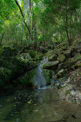 Naklejka premium Natureza e Viagem