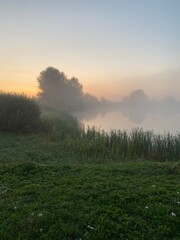 Obraz na płótnie Canvas morning fog in the forest
