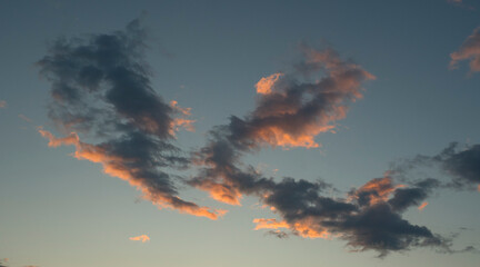 OLYMPUS DIGITAL CAMERA © KrzysztofAleksander