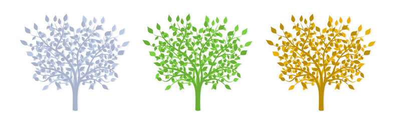 Tree with leaves in three seasons winter summer autumn