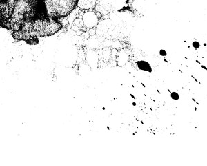 Fototapeta premium Vector grunge texture 21