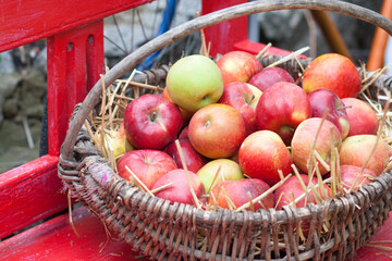 Red apples lie on the hay in a wicker basket on a red bench