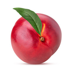 Ripe nectarine fruits with leaf