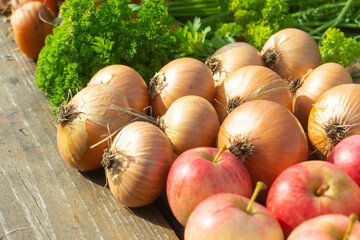 Harvest parsley, onions and apples on a table in a sunny autumn garden. Farming season, shop