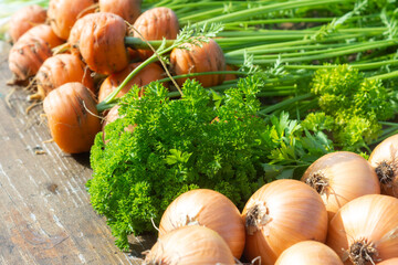Harvest carrots, parsley and onions on a table in a sunny autumn garden. Farming season, shop