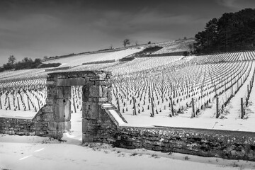 clos bourguignon sous la neige