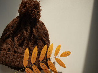 Brown hat with autumn leaf