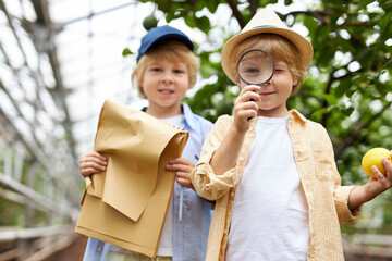 caucasian little brothers hold map or fruit list and magnifier in garden, they collect lemons together, with basket