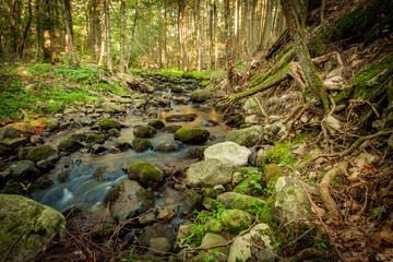 Fototapeta premium Stream Motion Blur