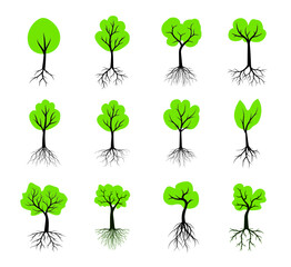Set Tree Icon with green Leaves and Roots. Vector outline Illustration. Plants in Garden.