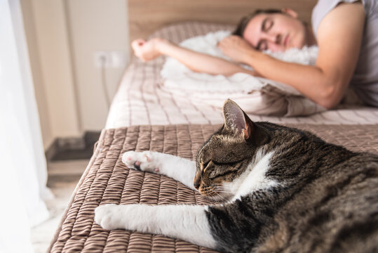 Cat sleeping on the bed with sleeping man at background - Powered by Adobe