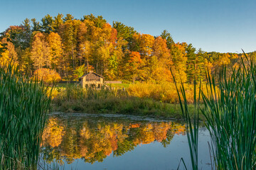 Orange and yellow fall colors of trees in forest in park reflecting in lake