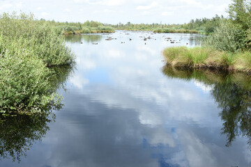 Fototapeta na wymiar Lake in nature area De Groote Peel