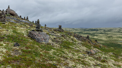 Tundra on the Kola Peninsula, Russia, August 2020