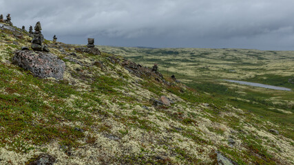Tundra on the Kola Peninsula, Russia, August 2020