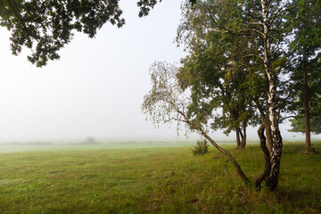 Jesienny krajobraz Doliny Narwi spowity mgłą, Podlasie, Polska © podlaski49