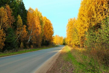 Obraz premium Road through the autumn forest on a sunny day