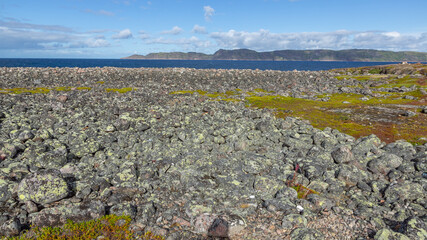 The coast of the Barents sea, Teriberka, August 2020, Russia