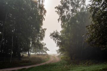 Jesienny krajobraz Doliny Narwi spowity mgłą, Podlasie, Polska © podlaski49
