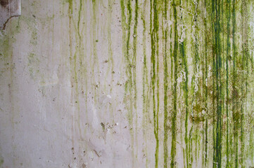 Old grunge wall