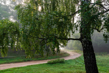 Jesienny krajobraz Doliny Narwi spowity mgłą, Podlasie, Polska © podlaski49