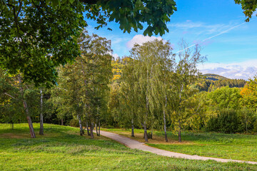 landscape with trees