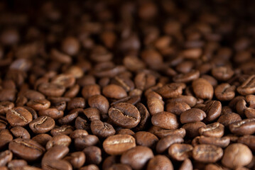 Coffee grains close up on dark background
