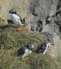 Where did you lose it?