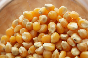 Dry Corn Kernels Texture background