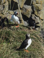 Did you hear the latest?