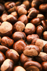 Close up shot of chestnut side by side