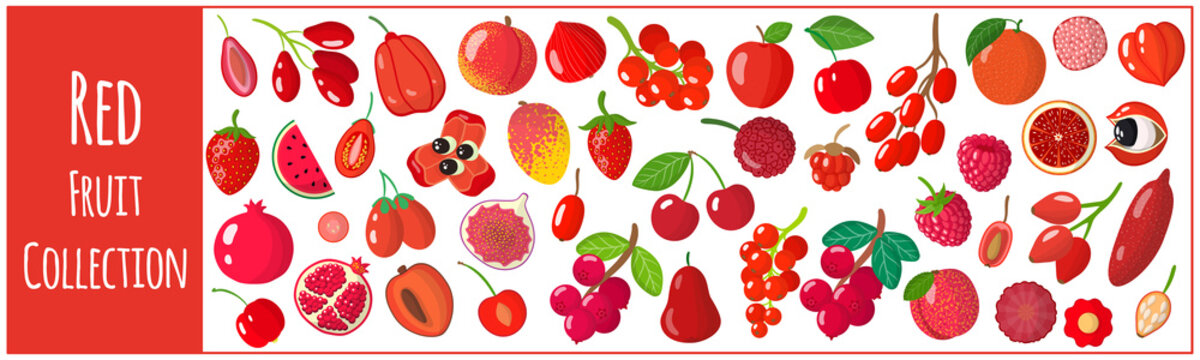 Set of vector cartoon illustrations with exotic red fruits isolated on white background.