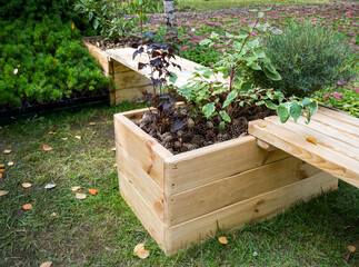 High decorative flower bed combined with wooden benches