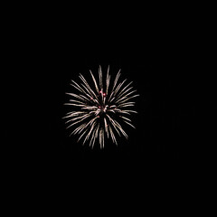 Obraz premium Fuegos artificiales