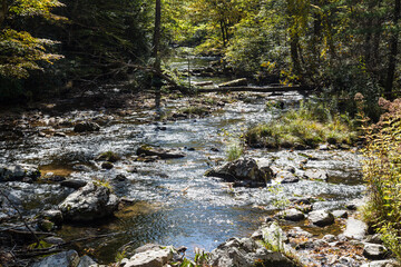 The Virginia Creeper Trail river in the forest, Abingdon, VA, USA