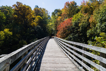 Fototapeta na wymiar Wooden bridge in autumn forest, The Virginia Creeper National Recreation Trail, Abingdon, VA, USA