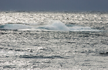 厳冬の松前・津軽海峡冬景色