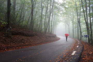 strolling int he fog