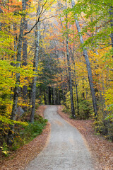 Fototapeta na wymiar Autumn in Vermont