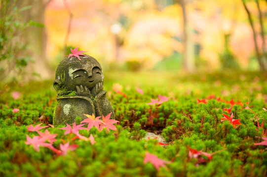 Red Maple leaf on head of Jizo sculpture doll (little Japanese Buddhist monk doll rock) in Japanese Garden