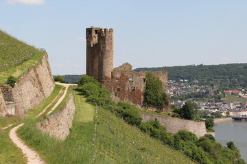 Fototapeta na wymiar Tourismus Rüdesheim am Rhein