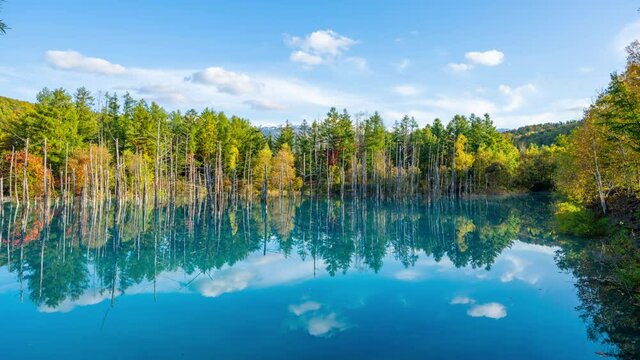 池に映る青空　環境イメージ　タイムラプス